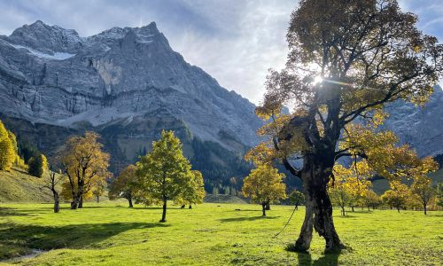 Großer Ahornboden